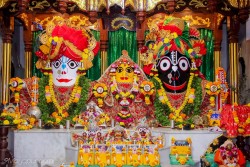 Daily Darshan