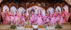 Daily Darshan