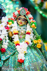Daily Darshan