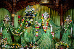 Daily Darshan