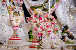 Daily Darshan