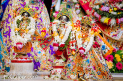 Daily Darshan