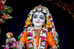 Daily Darshan