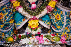 Daily Darshan