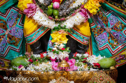 Daily Darshan