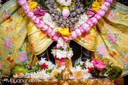 Daily Darshan