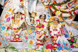 Daily Darshan
