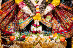Daily Darshan
