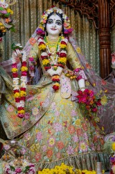 Daily Darshan