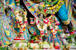 Daily Darshan