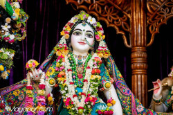 Daily Darshan
