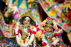 Daily Darshan
