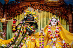 Daily Darshan
