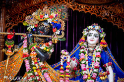 Daily Darshan