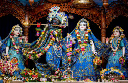 Daily Darshan