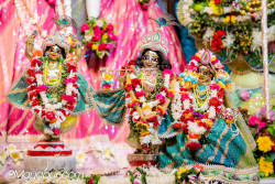 Daily Darshan