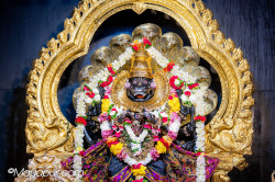 Daily Darshan