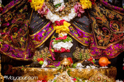 Daily Darshan