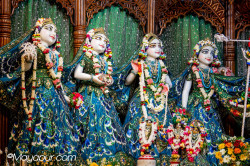 Daily Darshan