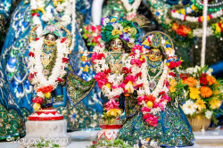 Daily Darshan