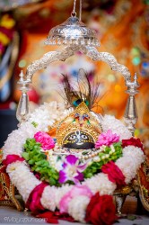 Daily Darshan