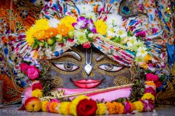 Daily Darshan