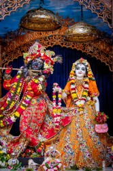 Daily Darshan