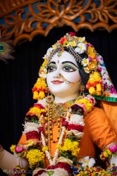 Daily Darshan