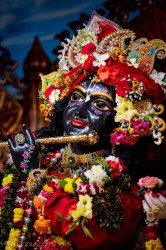 Daily Darshan