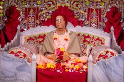 Daily Darshan