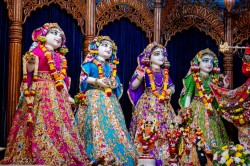 Daily Darshan