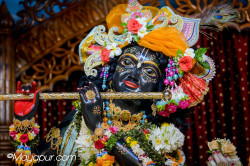 Daily Darshan