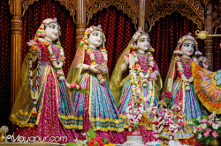 Daily Darshan
