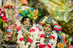 Daily Darshan