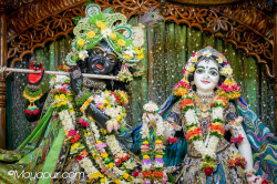 Daily Darshan