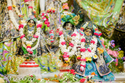 Daily Darshan