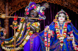 Daily Darshan