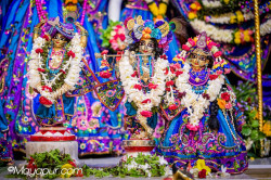 Daily Darshan