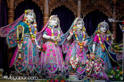 Daily Darshan