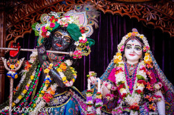 Daily Darshan
