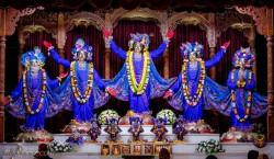 Daily Darshan