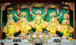 Daily Darshan