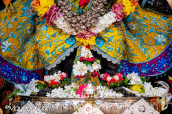 Daily Darshan