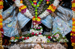 Daily Darshan