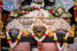 Daily Darshan