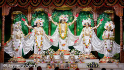 Daily Darshan