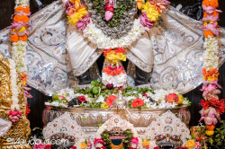 Daily Darshan