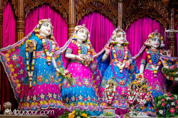 Daily Darshan