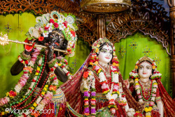 Daily Darshan