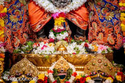 Daily Darshan